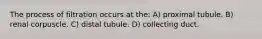 The process of filtration occurs at the: A) proximal tubule. B) renal corpuscle. C) distal tubule. D) collecting duct.