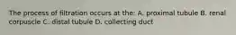 The process of filtration occurs at the: A. proximal tubule B. renal corpuscle C. distal tubule D. collecting duct