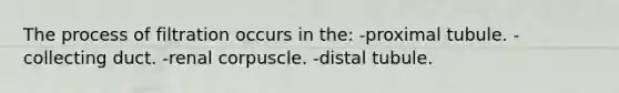 The process of filtration occurs in the: -proximal tubule. -collecting duct. -renal corpuscle. -distal tubule.