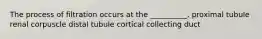 The process of filtration occurs at the __________. proximal tubule renal corpuscle distal tubule cortical collecting duct