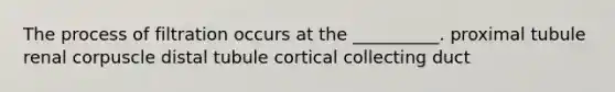 The process of filtration occurs at the __________. proximal tubule renal corpuscle distal tubule cortical collecting duct