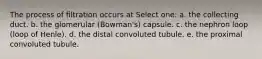 The process of filtration occurs at Select one: a. the collecting duct. b. the glomerular (Bowman's) capsule. c. the nephron loop (loop of Henle). d. the distal convoluted tubule. e. the proximal convoluted tubule.