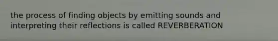 the process of finding objects by emitting sounds and interpreting their reflections is called REVERBERATION