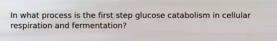 In what process is the first step glucose catabolism in cellular respiration and fermentation?