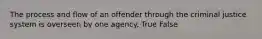 The process and flow of an offender through the criminal justice system is overseen by one agency. True False