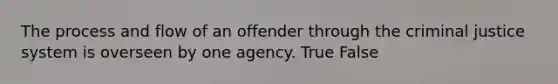 The process and flow of an offender through the criminal justice system is overseen by one agency. True False