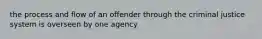 the process and flow of an offender through the criminal justice system is overseen by one agency