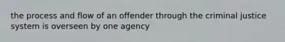 the process and flow of an offender through the criminal justice system is overseen by one agency