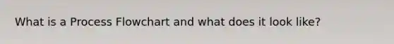 What is a Process Flowchart and what does it look like?