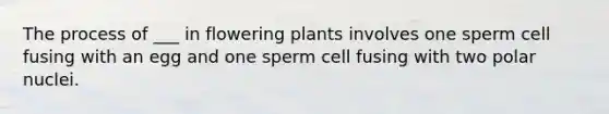 The process of ___ in flowering plants involves one sperm cell fusing with an egg and one sperm cell fusing with two polar nuclei.