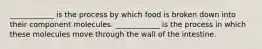 ____________ is the process by which food is broken down into their component molecules. ____________ is the process in which these molecules move through the wall of the intestine.