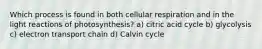 Which process is found in both cellular respiration and in the light reactions of photosynthesis? a) citric acid cycle b) glycolysis c) electron transport chain d) Calvin cycle