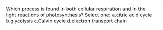 Which process is found in both cellular respiration and in the light reactions of photosynthesis? Select one: a.citric acid cycle b.glycolysis c.Calvin cycle d.electron transport chain