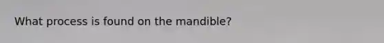 What process is found on the mandible?