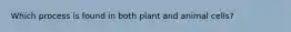 Which process is found in both plant and animal cells?