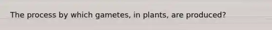 The process by which gametes, in plants, are produced?