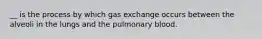 __ is the process by which gas exchange occurs between the alveoli in the lungs and the pulmonary blood.