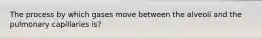 The process by which gases move between the alveoli and the pulmonary capillaries is?
