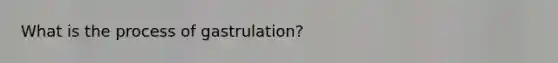 What is the process of gastrulation?