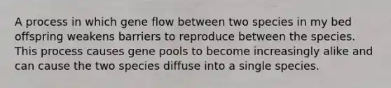 A process in which gene flow between two species in my bed offspring weakens barriers to reproduce between the species. This process causes gene pools to become increasingly alike and can cause the two species diffuse into a single species.