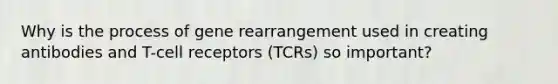 Why is the process of gene rearrangement used in creating antibodies and T-cell receptors (TCRs) so important?