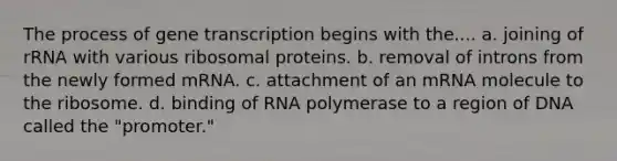 The process of gene transcription begins with the.... a. joining of rRNA with various ribosomal proteins. b. removal of introns from the newly formed mRNA. c. attachment of an mRNA molecule to the ribosome. d. binding of RNA polymerase to a region of DNA called the "promoter."