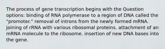 The process of gene transcription begins with the Question options: binding of RNA polymerase to a region of DNA called the "promoter." removal of introns from the newly formed mRNA. joining of rRNA with various ribosomal proteins. attachment of an mRNA molecule to the ribosome. insertion of new DNA bases into the gene.