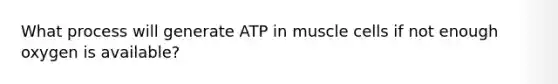 What process will generate ATP in muscle cells if not enough oxygen is available?