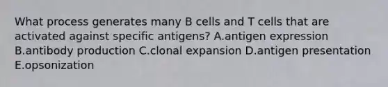 What process generates many B cells and T cells that are activated against specific antigens? A.antigen expression B.antibody production C.clonal expansion D.antigen presentation E.opsonization