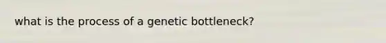 what is the process of a genetic bottleneck?