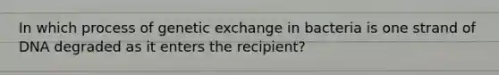 In which process of genetic exchange in bacteria is one strand of DNA degraded as it enters the recipient?