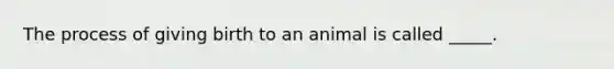 The process of giving birth to an animal is called _____.