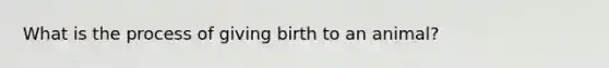 What is the process of giving birth to an animal?