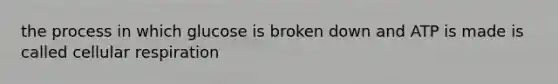 the process in which glucose is broken down and ATP is made is called <a href='https://www.questionai.com/knowledge/k1IqNYBAJw-cellular-respiration' class='anchor-knowledge'>cellular respiration</a>