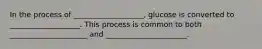 In the process of ___________________, glucose is converted to ___________________. This process is common to both _____________________ and ______________________.