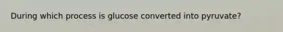 During which process is glucose converted into pyruvate?