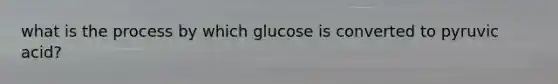 what is the process by which glucose is converted to pyruvic acid?