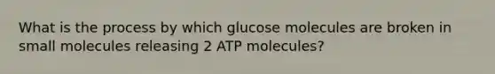 What is the process by which glucose molecules are broken in small molecules releasing 2 ATP molecules?