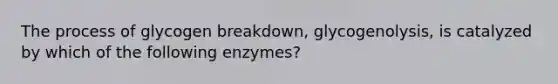 The process of glycogen breakdown, glycogenolysis, is catalyzed by which of the following enzymes?