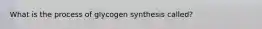 What is the process of glycogen synthesis called?