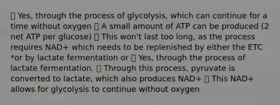 ✅ Yes, through the process of glycolysis, which can continue for a time without oxygen ✅ A small amount of ATP can be produced (2 net ATP per glucose) ✅ This won't last too long, as the process requires NAD+ which needs to be replenished by either the ETC *or by lactate fermentation or ✅ Yes, through the process of lactate fermentation. ✅ Through this process, pyruvate is converted to lactate, which also produces NAD+ ✅ This NAD+ allows for glycolysis to continue without oxygen