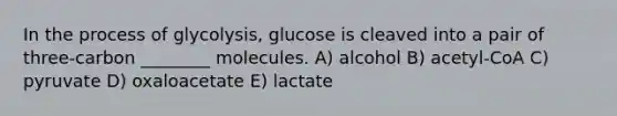 In the process of glycolysis, glucose is cleaved into a pair of three-carbon ________ molecules. A) alcohol B) acetyl-CoA C) pyruvate D) oxaloacetate E) lactate