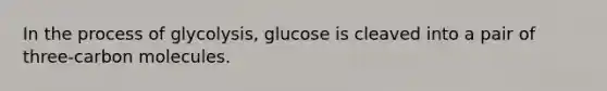 In the process of glycolysis, glucose is cleaved into a pair of three-carbon molecules.