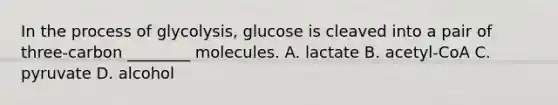 In the process of glycolysis, glucose is cleaved into a pair of three-carbon ________ molecules. A. lactate B. acetyl-CoA C. pyruvate D. alcohol