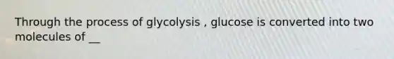 Through the process of glycolysis , glucose is converted into two molecules of __