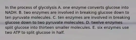 In the process of glycolysis A. one enzyme converts glucose into NADH. B. two enzymes are involved in breaking glucose down to ten pyruvate molecules. C. ten enzymes are involved in breaking glucose down to two pyruvate molecules. D. twelve enzymes split glucose into thirteen smaller molecules. E. six enzymes use two ATP to split glucose in half.