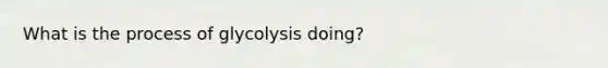 What is the process of glycolysis doing?