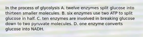 In the process of glycolysis A. twelve enzymes split glucose into thirteen smaller molecules. B. six enzymes use two ATP to split glucose in half. C. ten enzymes are involved in breaking glucose down to two pyruvate molecules. D. one enzyme converts glucose into NADH.