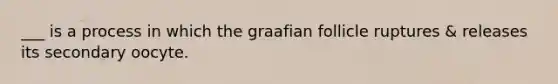 ___ is a process in which the graafian follicle ruptures & releases its secondary oocyte.