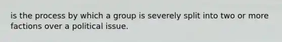 is the process by which a group is severely split into two or more factions over a political issue.